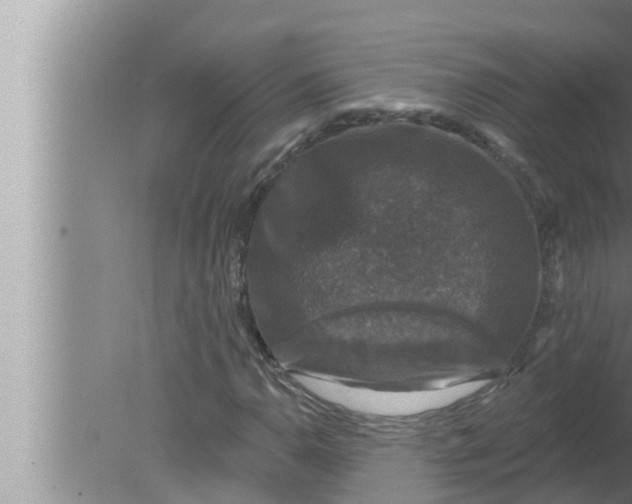 X0000080151110200612302120