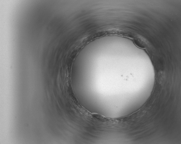 X0000080151111200612302120