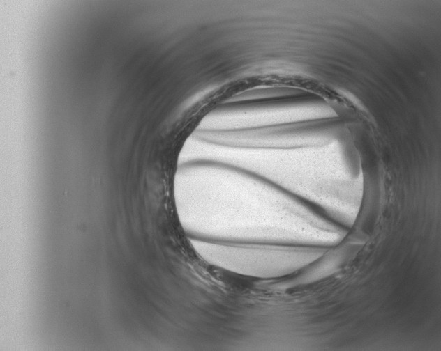 X0000080151112200612302120