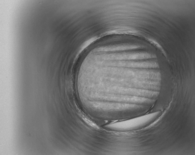 X0000080151114200612302120