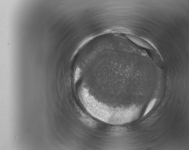 X0000080151115200612302120