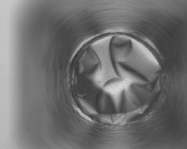 X0000080151116200612302120