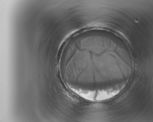 X0000080151117200612302120