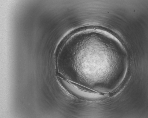 X0000080151118200612302120