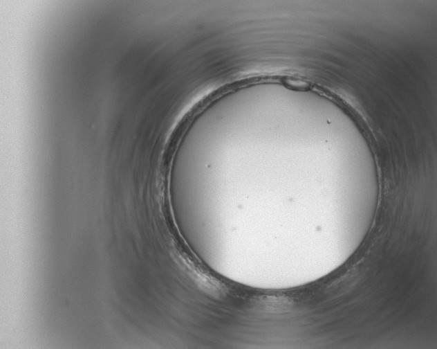 X0000080151119200612302120