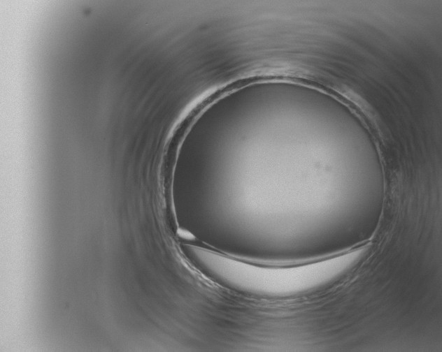 X0000080151120200612302120