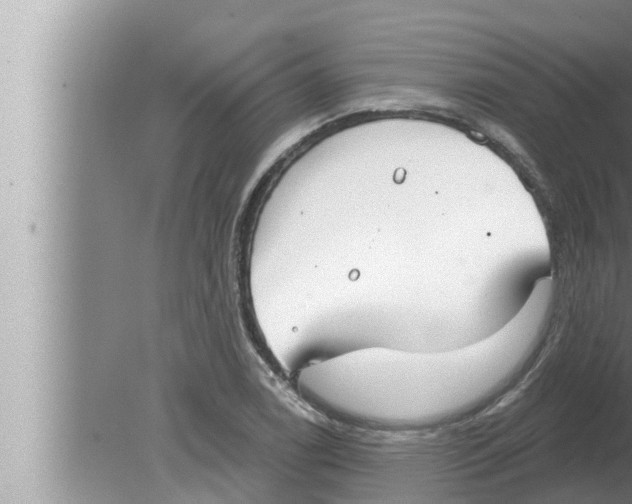 X0000080151122200612302120