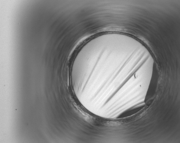 X0000080151123200612302121