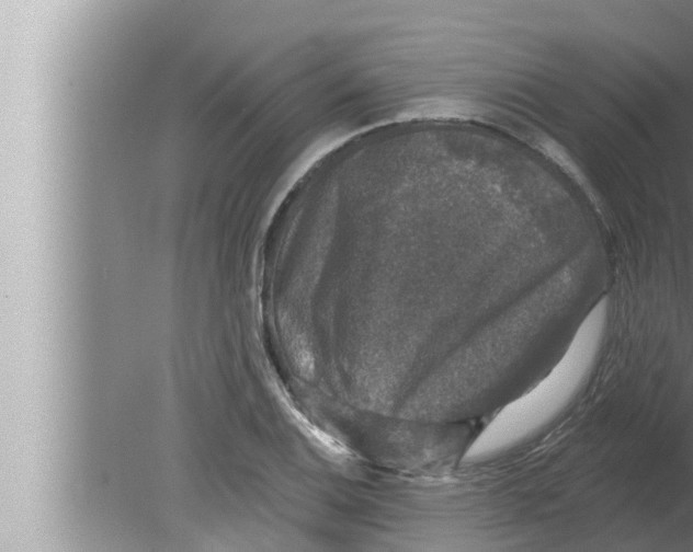 X0000080151124200612302121