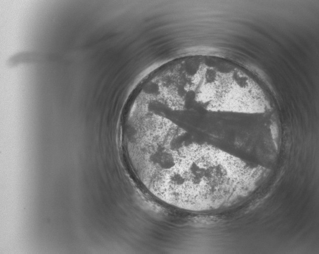 X0000080151125200612302121