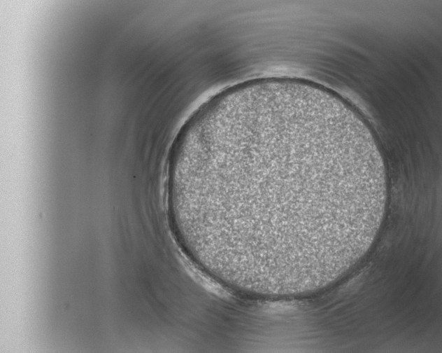 X0000080151126200612302121