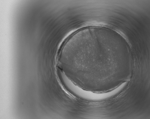 X0000080151128200612302121