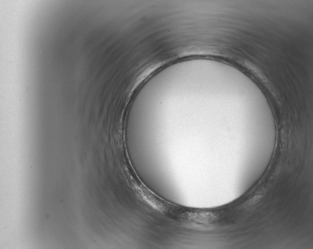 X0000080151129200612302121