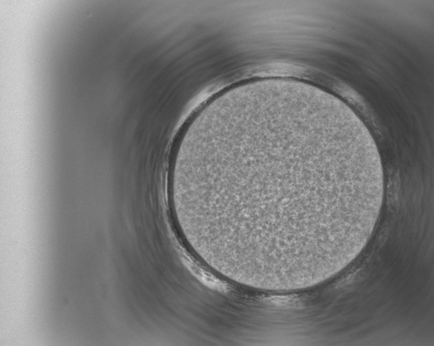 X0000080151130200612302121