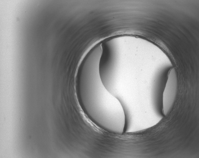 X0000080151132200612302121