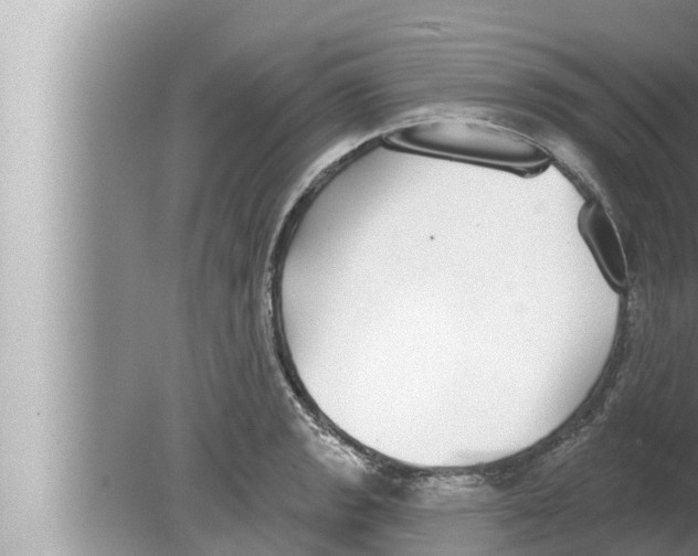 X0000080151133200612302121