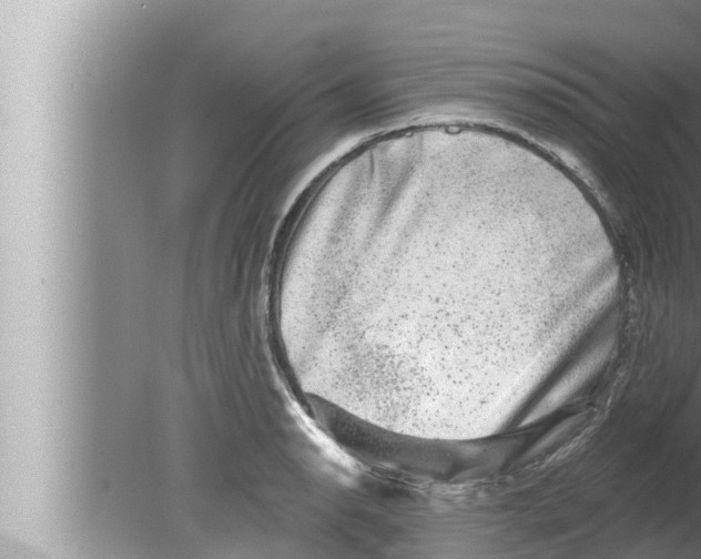 X0000080151134200612302121