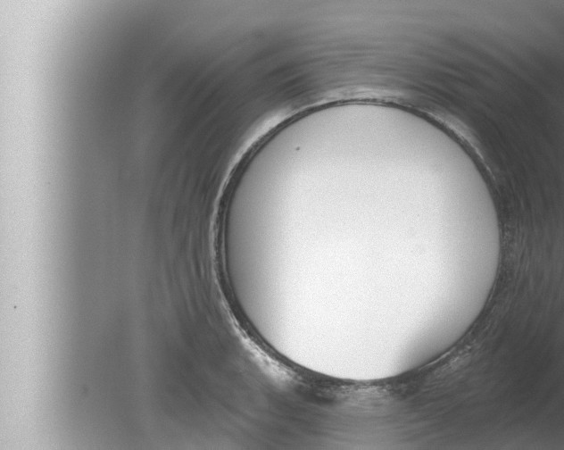 X0000080151135200612302121