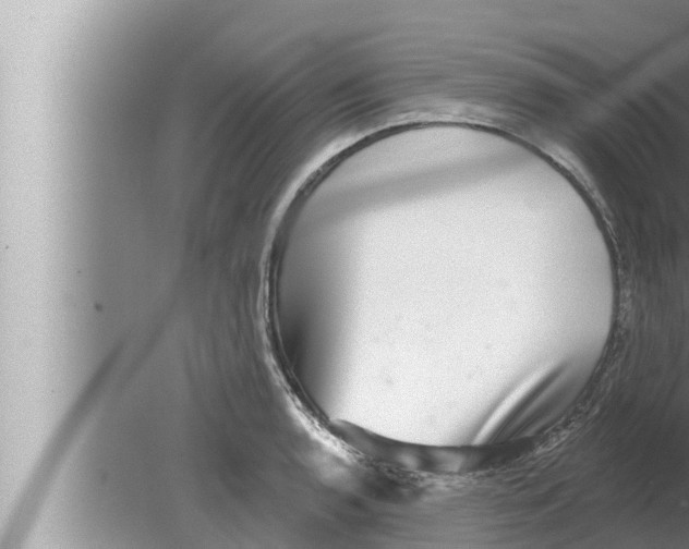 X0000080151136200612302121