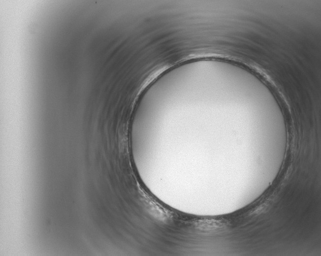 X0000080151137200612302121