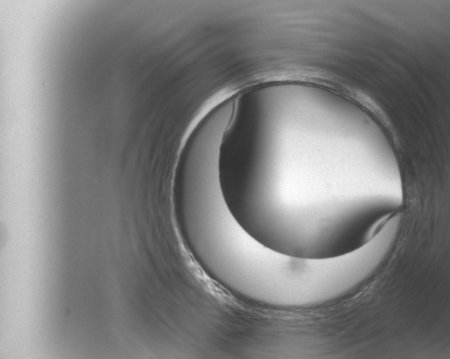 X0000080151138200612302121