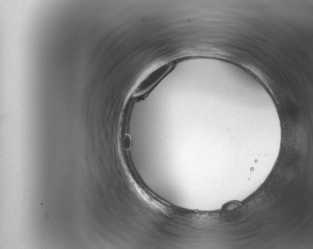 X0000080151139200612302121