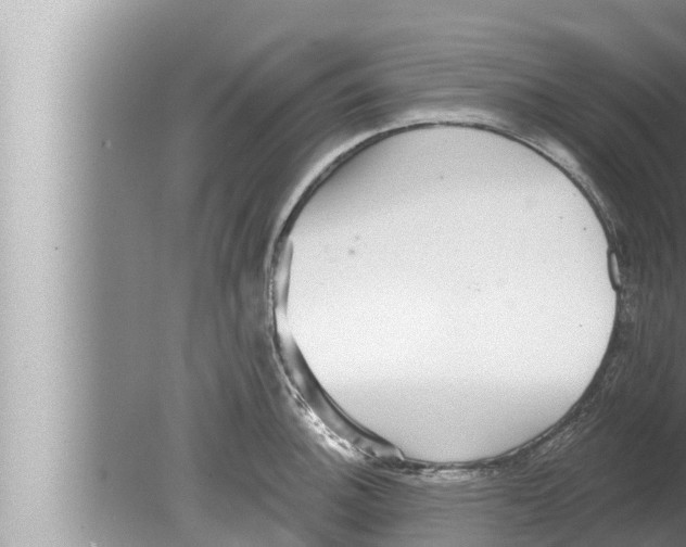 X0000080151140200612302121