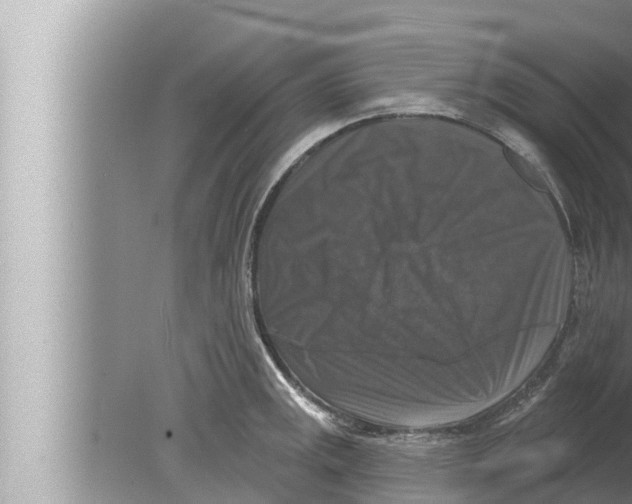 X0000080151141200612302121