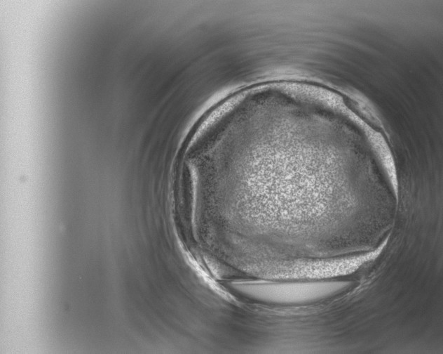 X0000080151142200612302121