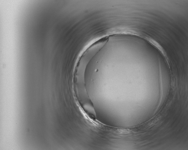 X0000080151144200612302121