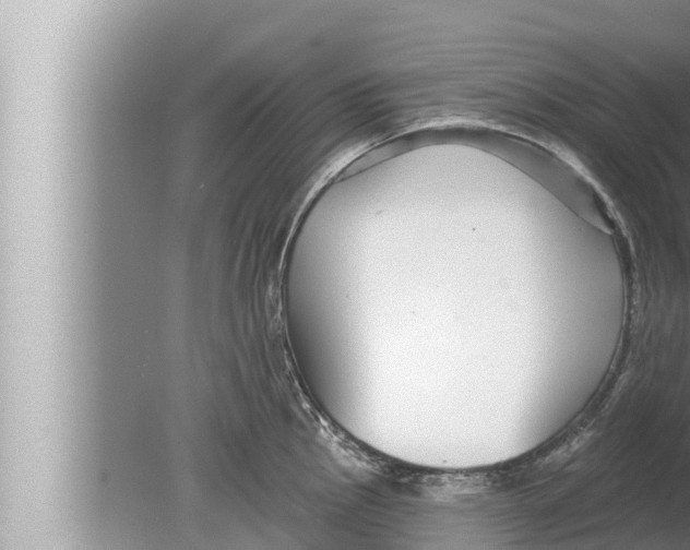 X0000080151145200612302121