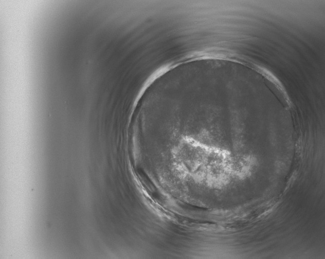 X0000080151146200612302121