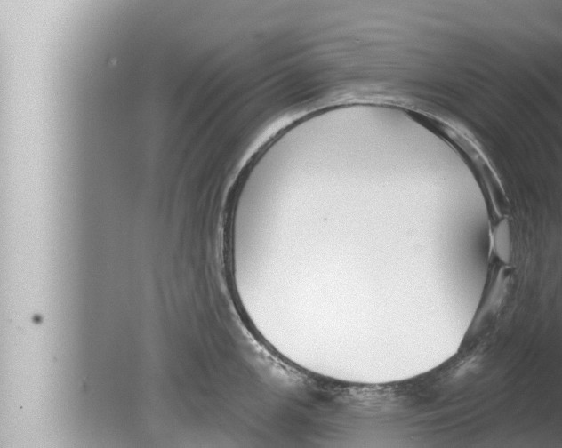 X0000080151147200612302121