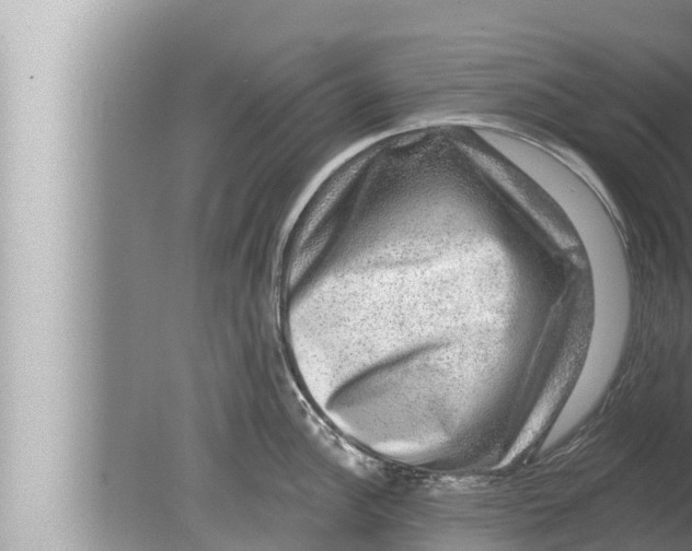 X0000080151148200612302121