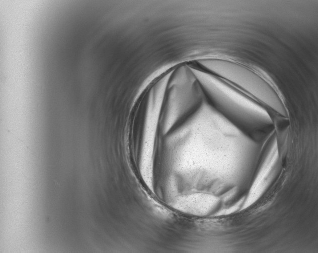 X0000080151149200612302121