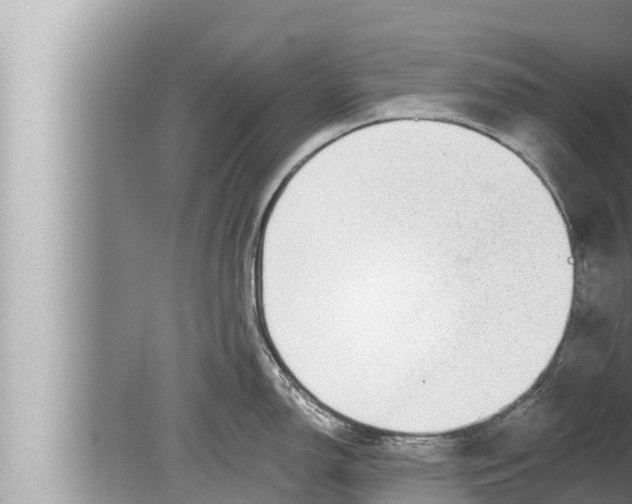 X0000080151150200612302121