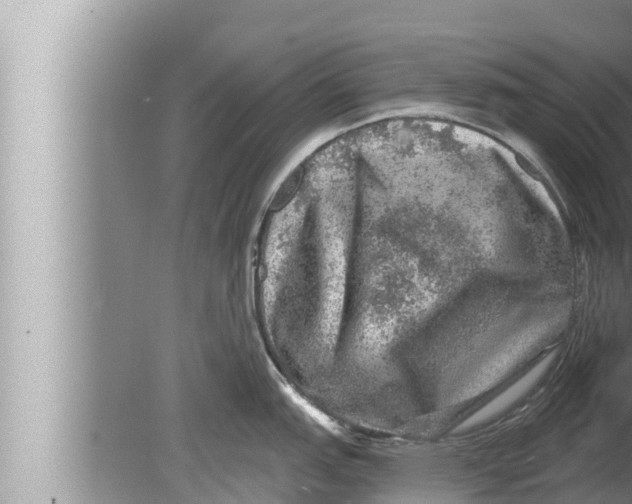 X0000080151151200612302121