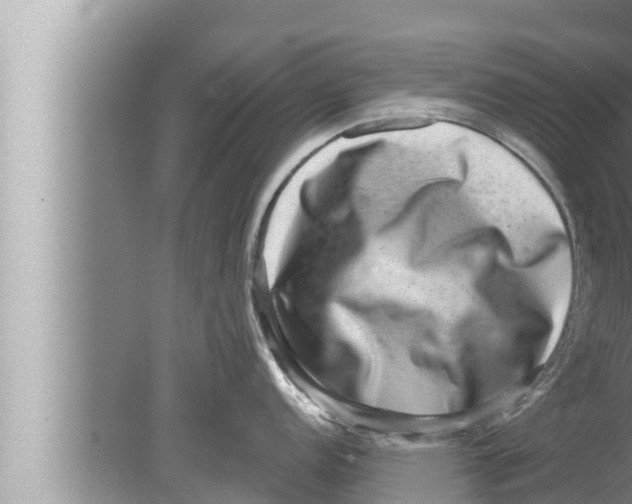 X0000080151152200612302121