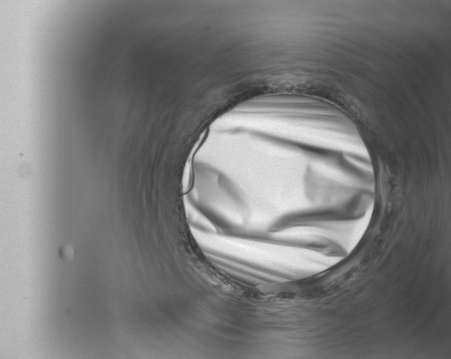 X0000080151153200612302120