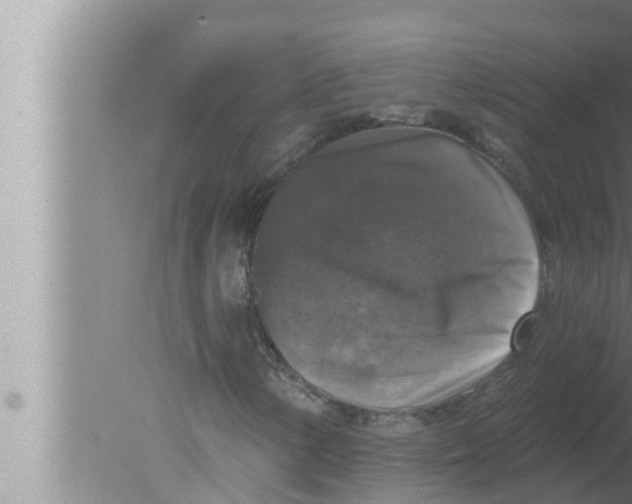 X0000080151154200612302120