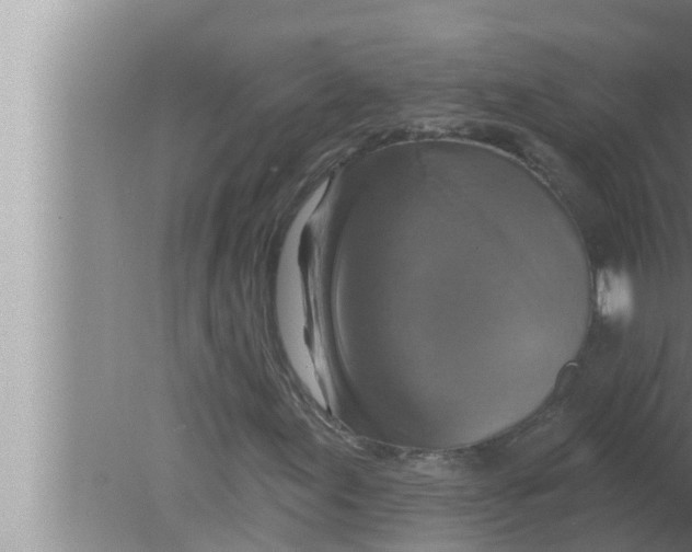 X0000080151155200612302120