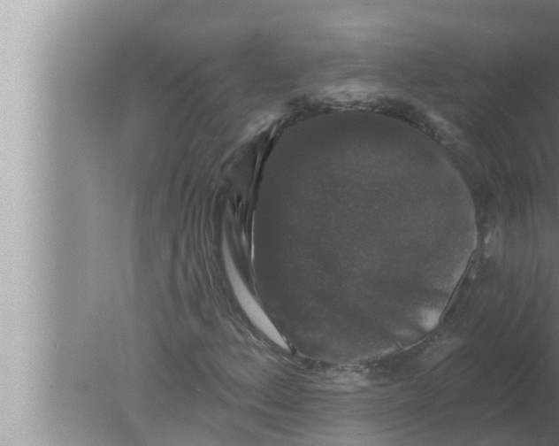 X0000080151156200612302120