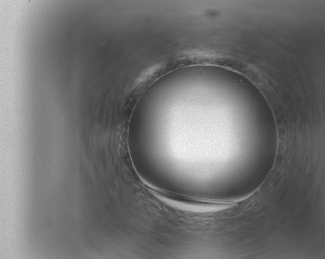 X0000080151157200612302120