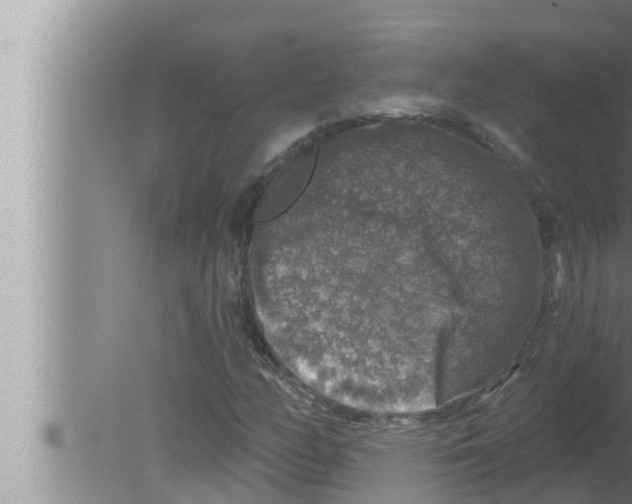 X0000080151158200612302120