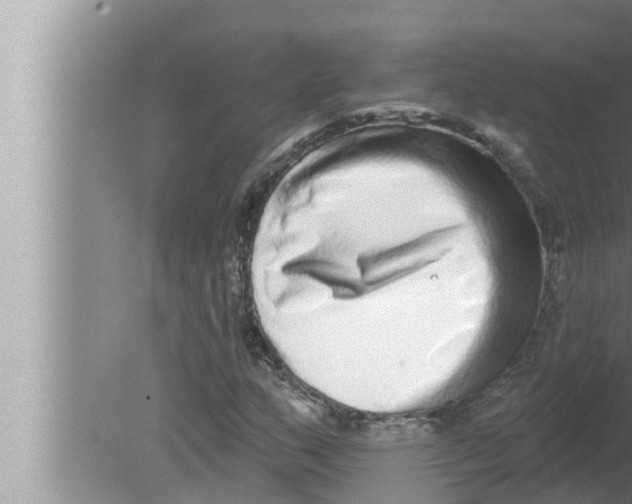 X0000080151159200612302120