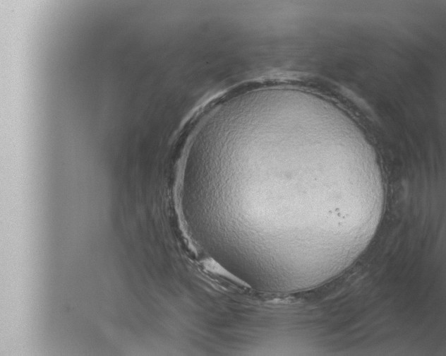 X0000080151160200612302120