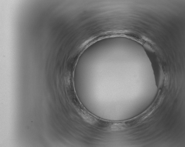 X0000080151161200612302120