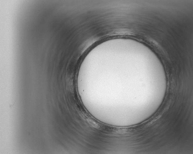 X0000080151162200612302120