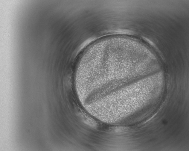 X0000080151163200612302120