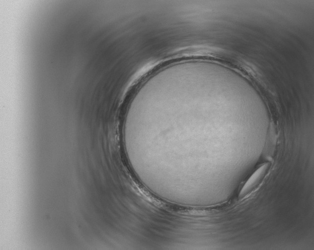 X0000080151164200612302120